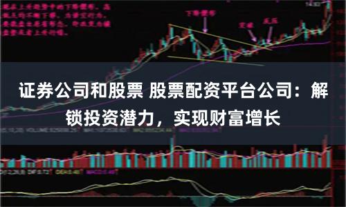 证券公司和股票 股票配资平台公司：解锁投资潜力，实现财富增长
